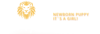 KAYA